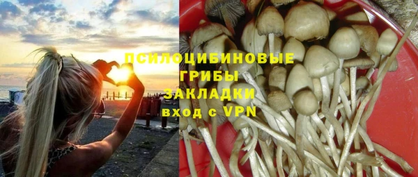 PSILOCYBIN Алексеевка