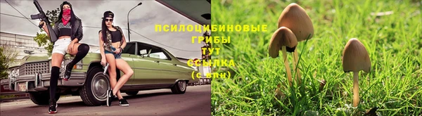 кокаин перу Алексин