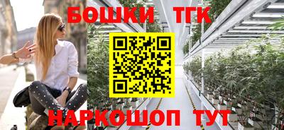 шишки Дмитров