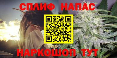 шишки Дмитров