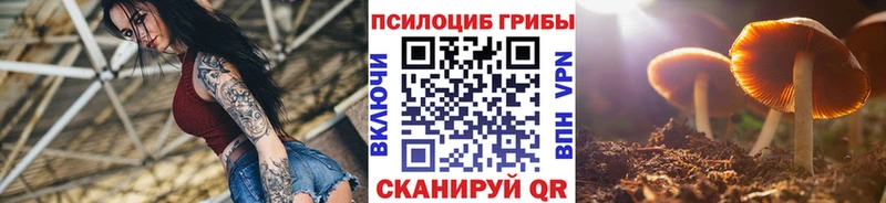 Псилоцибиновые грибы прущие грибы  что такое наркотик  Карачаевск 