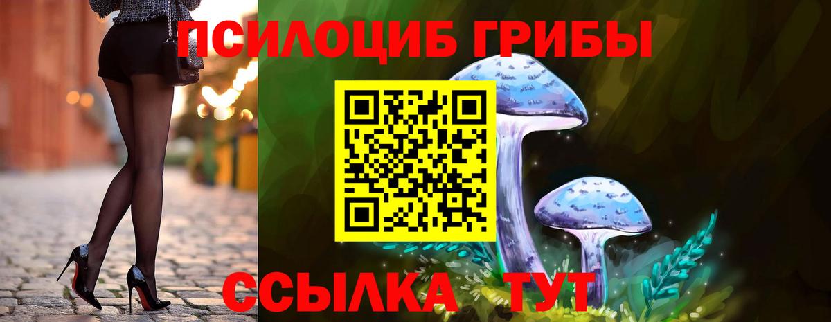 Галлюциногенные грибы ЛСД Карачаевск